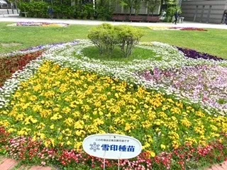 札幌市北区麻生・リンパマッサージ・ヘッドスパ【リラクゼーションサロン　ここの】大通り公園！